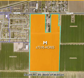 (M) South MC-85, West of Watson